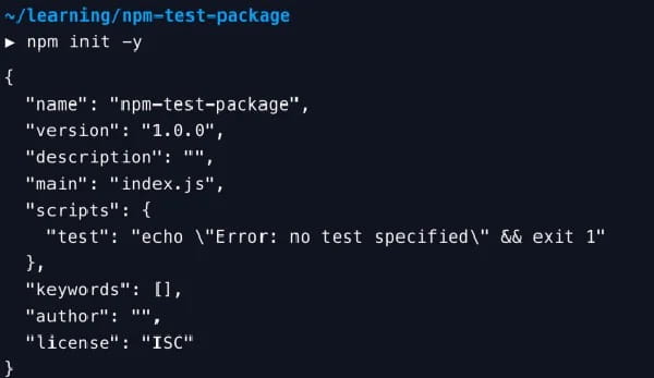 npm initialization for a new project