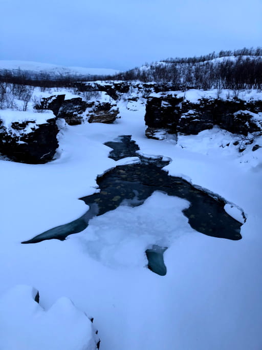 Abisko national park